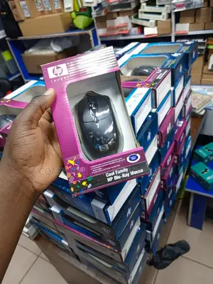 Laptop/Desktop Mouse