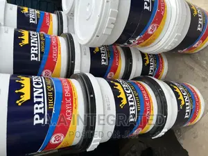 Princess High Quality Emulsion Paint