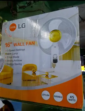 Cool LG Wall Fan