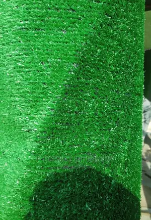 Best Quality Carpet Grass