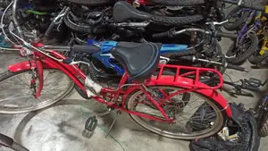 Bicycle With Carrier
