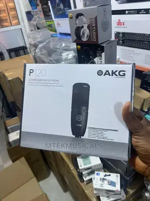 AKG P120 Studio Condenser Microphone