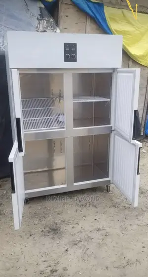 4 Door Industrial Freezer