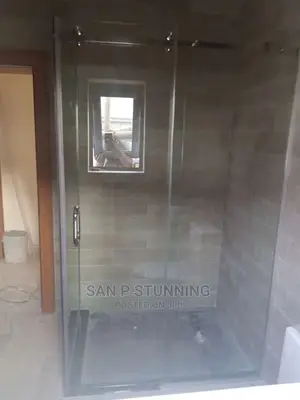 Simple Lovely Shower Cubicle With Foreign Accessories Silver
