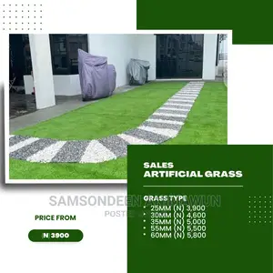 25mm Artificial Grass N 3,900