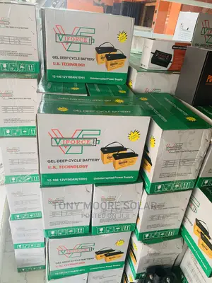 100ah 12v Viforce Battery