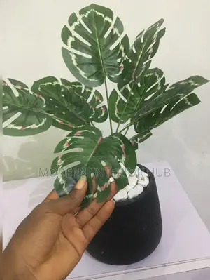 Table Flower