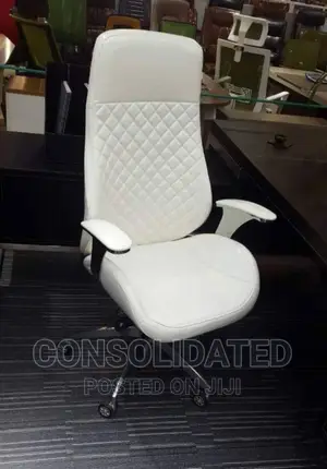 Unique Executive Office Chair