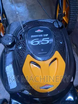 Land More 6.5hp