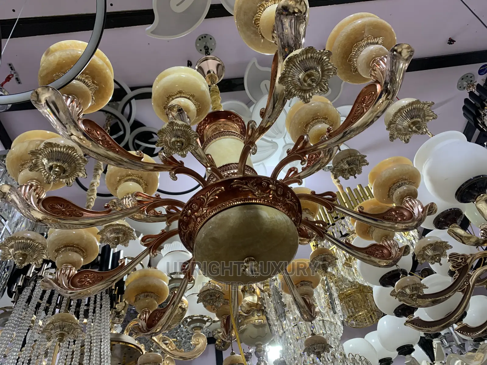 Luxury Chandelier Lights
