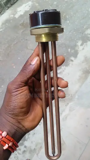 Electric Heating Element With Thermostat 220V