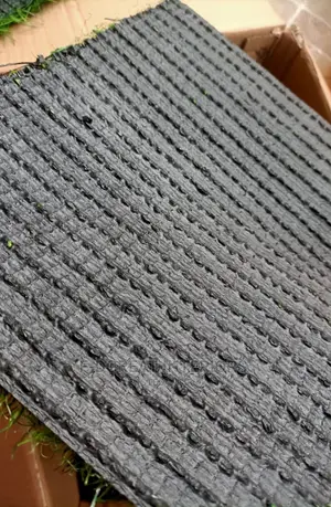 Carpet Grass