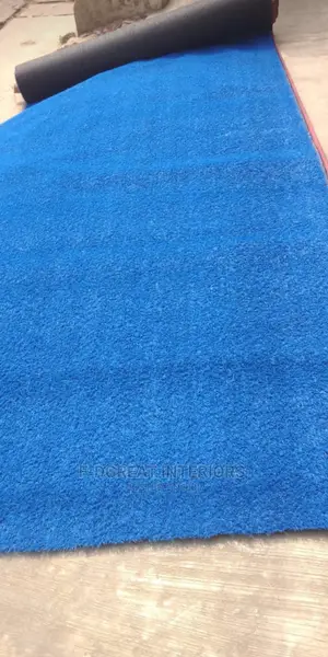 Blue Carpet Grass