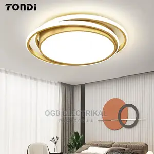 Modern Led Ceiling Lamp