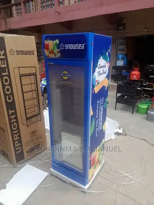 Snow Sea Upright Coolers 300liter