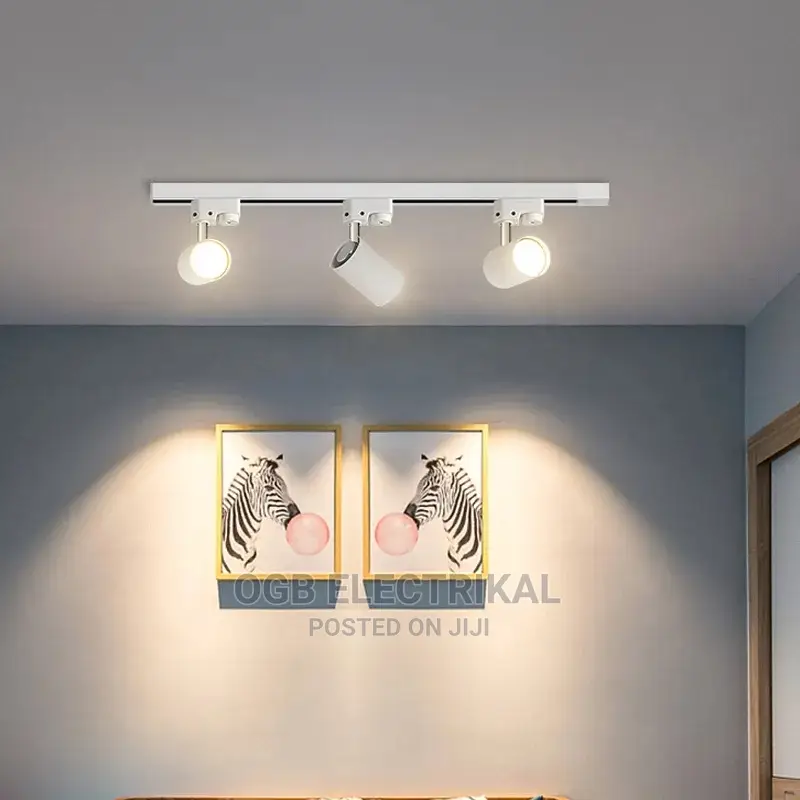Movable Track Light