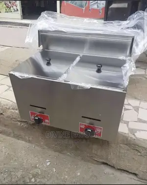 20 Liters Double Deep Fryer