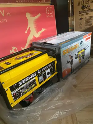 Senwei 4.5kva Sv6200e2 Key-Starter