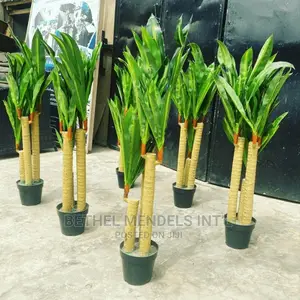 Artificial Flower/Plants | Wholesale of Dracaena Plants