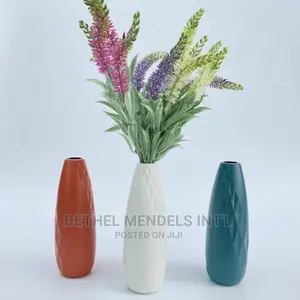 Purchase Quality Plastic Tabletop Flower Vases in Abuja