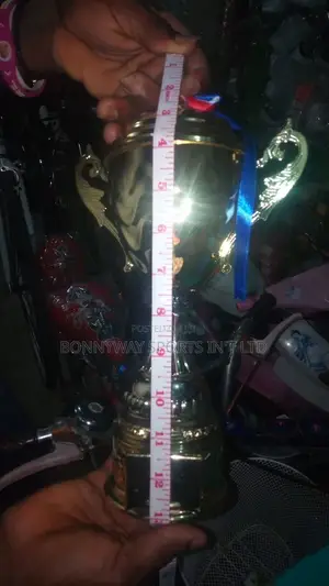 All Sizes of Sports Trophies