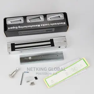 Electric Lock Manufacturing Expert