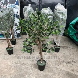 Artificial Ficus Trees Available for Bulk Purchases