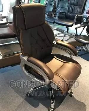 Executive Ergonomic Office Chair