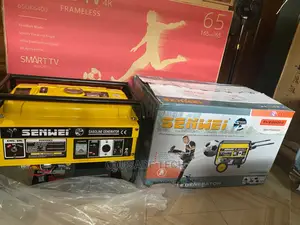 Sv6200e2 Senwei 4.5kva Automatic Generator