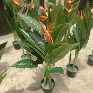 Artificial Paradise Birds Plants Available for Sale in Abuja