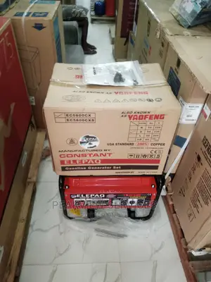 Efficient Elepaq Constant 3.5kva Generator Ec5800cx