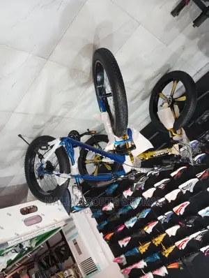 Apex Prolife Bike