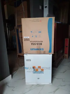 Skyrun BCD-55a Refrigerator