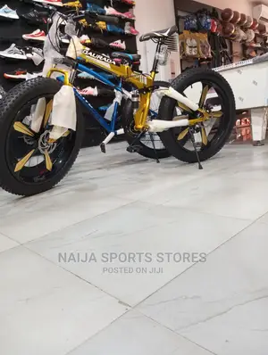 Stylish Prolife Bike