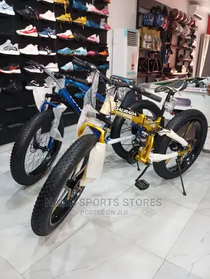 Most Demand Prolife Bike