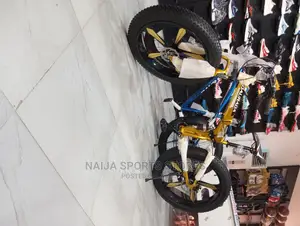 Flawless Prolife Bike
