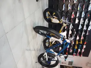 Modern Prolife Bike