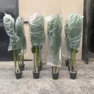 Artificial Flowers/Plants Wholesale |Artificial Palm Plants