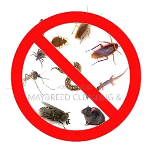 Pest Fumigation
