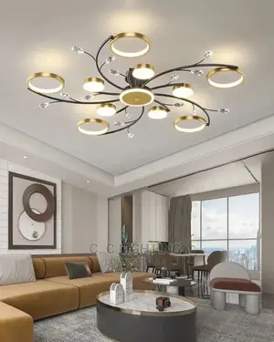 Morden Led Chandelier Light