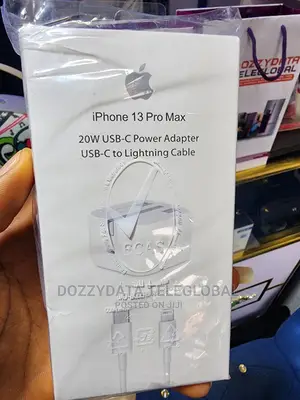 iPhone 13 Pro Max - USB-C