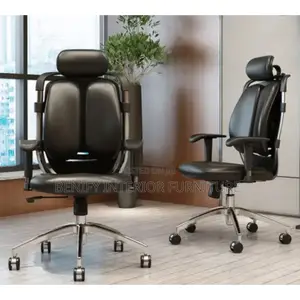 Kidney Ergonomic Adjustable Office Chair