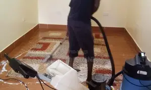 Rug, Couch and House Cleaning