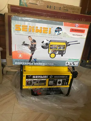 Senwei 2-Pole Sv6200e2 4.5kva Automatic