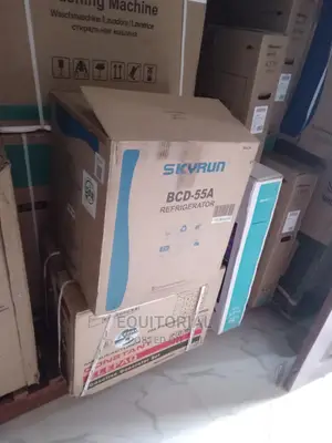 Top Selling Skyrun Bedside Refrigerator-BCD-55a