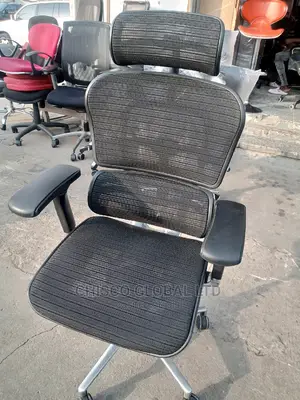 Office Chair (Orthopedic)