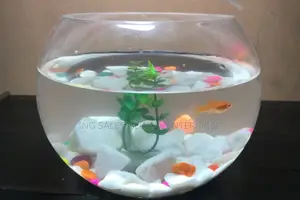 3 Liters Fishbowl Kit With One Fish