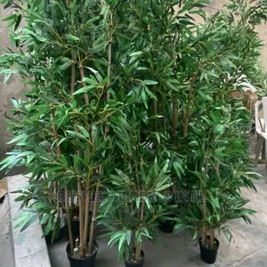 Bulk Sales of Quality Artificial Bamboo Trees in Lagos/Abuja