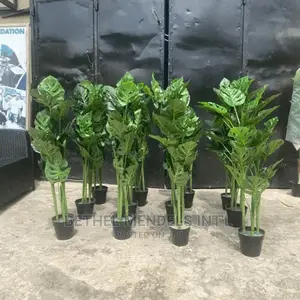 Artificial Flowers/Plants Wholesale | Faux Monstera Plants