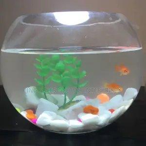 3 Liters Fishbowl Kit With 2 Fishes